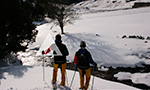 Excursions pour toute la famille en raquettes à neige